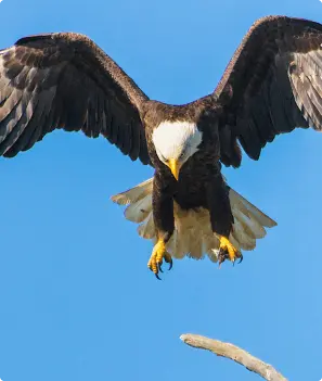 Opti Scope reviews user John P.